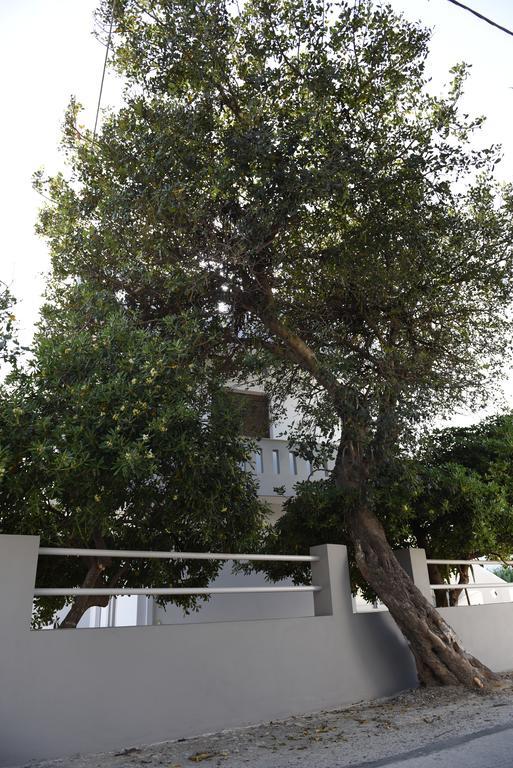 Dimitris' & Valentina'S Home Плакиас Екстериор снимка