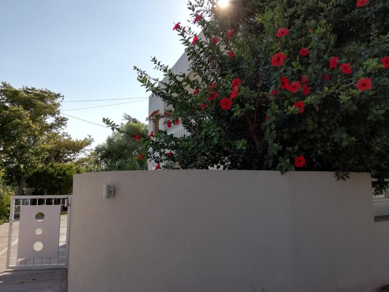 Dimitris' & Valentina'S Home Плакиас Екстериор снимка