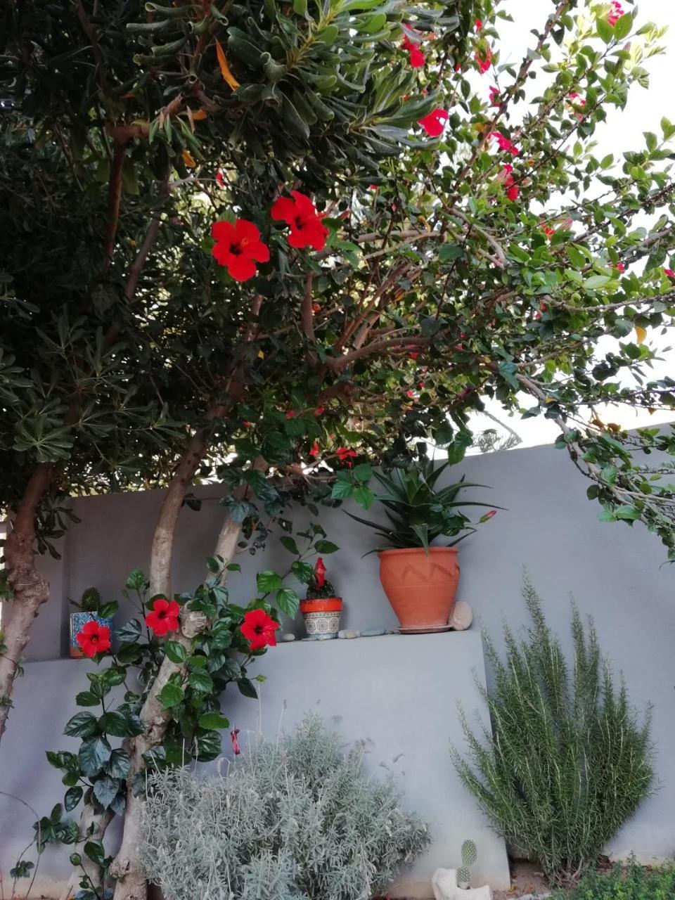 Dimitris' & Valentina'S Home Плакиас Екстериор снимка